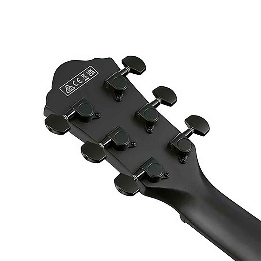 Ibanez AEWC621 Acoustic Electric Guitar-Andy's Music