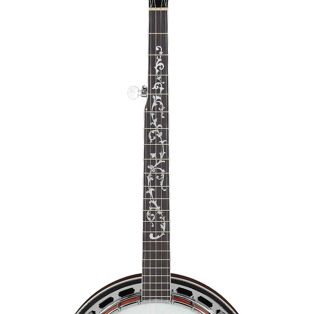 Ibanez B200 5-String Banjo-Andy's Music