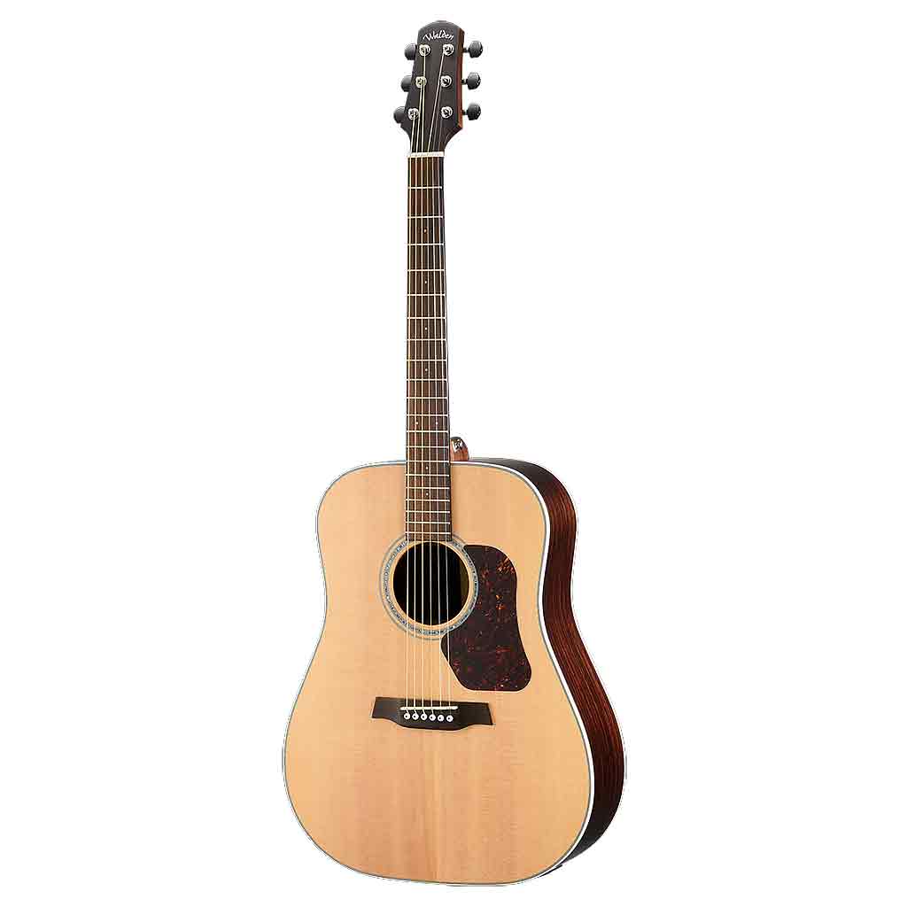 Walden D800E All Solid Wood Acoustic Electric Guitar-Andy's Music