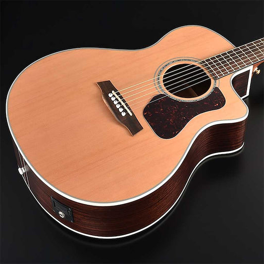 Walden G630CE Grand Auditorium Acoustic Electric Guitar With Cutaway-Andy's Music